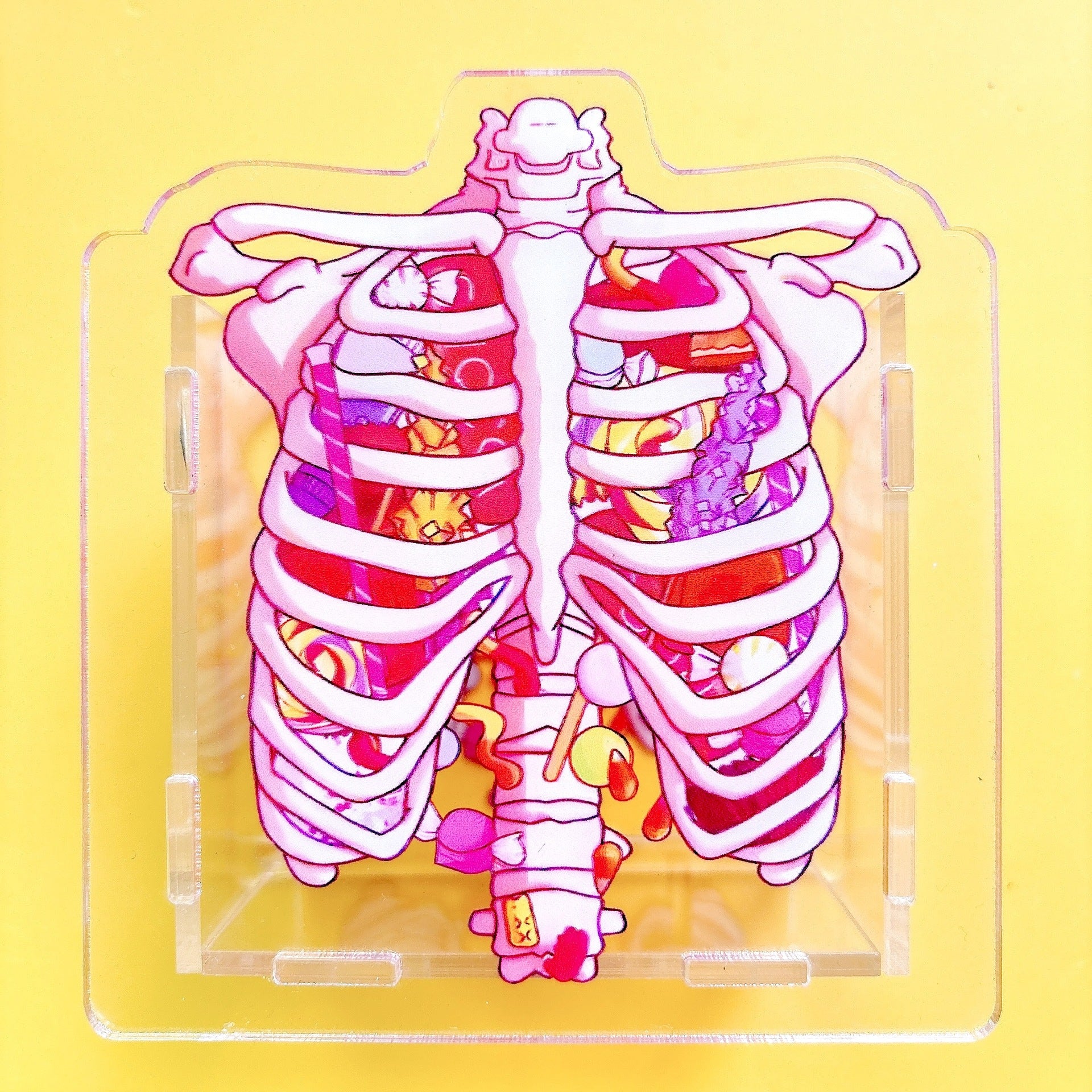 Wholesale Teacher nurse teacher study supplies medical care acrylic pen holder pencil case